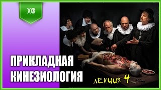 Замечательная лекция по прикладной кинезиологии! часть 4
