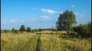 Харьковская область август 2017