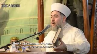 ЧЕЧНЯ хьехам Шейх Джамиль Халим ВЕЛИЧАЙШИЙ ПОЗОР ВАХХАБИТОВ