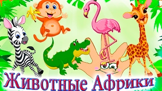 Животные Африки обучающее видео для малышей песенка для детей на русском