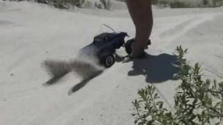 Brushless HPI Wheely King and stock Losi High Roller bash
