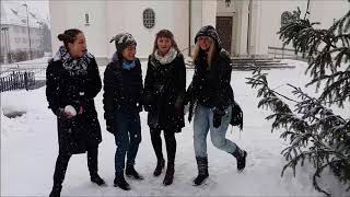 Country Sisters Merry Christmas