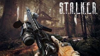 СТАЛКЕР 2 : СЛИТАЯ ИНФОРМАЦИЯ О СЮЖЕТЕ ИГРЫ. СВЕЖИЕ ПОДРОБНОСТИ О STALKER 2. НОВОСТИ И СЛУХИ