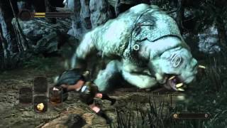 DARK SOULS 2 Killing the troll in beginning.