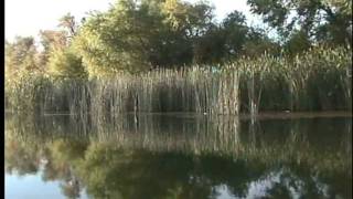Río Conchos, Chihuahua