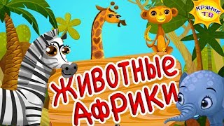 ДИКИЕ ЖИВОТНЫЕ АФРИКИ для детей. Учим животных. Животный мир и дикая природа Африки.