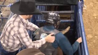 WRECK Tyler Harr on Pandora's Pyxis (PBR)