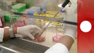 Nuovo Coronavirus, tasso di mortalità fra malati più elevato di Sars secondo esperti