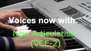 AjamSonic Introduction. Welcome to the world of AJAMSONIC!