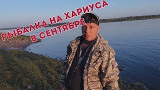 Рыбалка на хариуса в сентябре / Мушки просто выручают / Рыбалка на бомбарду