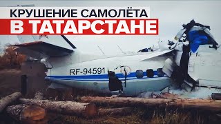 Кадры с места крушения самолёта L-410