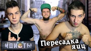 Шоу «Идиоты» - Пересадка яиц