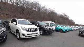 Авторынок2019, ЦЕНЫ, ВИДЕО, джипы, минивены, Toyota Prado