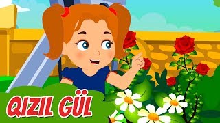 Uşaq şeiri "Qızıl gül"