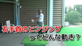 右手首の正しい使い方はヒンジング
