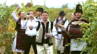 Constantin Beiu-Trompeta lui Vasile (videoclip)