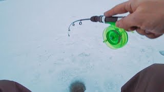Удар в руку! Удочка в дугу! Ловля окуня на балансир.