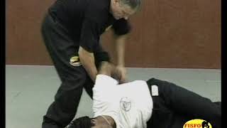 №13 #FISFO #Pencak_Silat #CharlesJoussot Systems