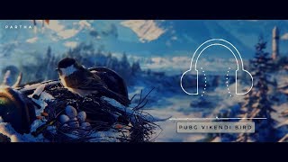 PUBG Vikendi Bird | Ringtone || PARTHA | Free Download Link