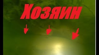 Не думал что найду ЕГО!!!Хозяин омута!Подводная охота на сома2019.
