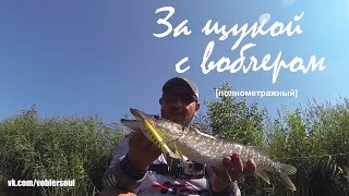 Щука на воблер. Ловля щуки на реке. Твичинг. Видео отчет от 18 августа 2016 г.