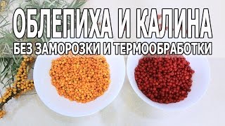 ОБЛЕПИХА И КАЛИНА: лучший рецепт без заморозки и термообработки