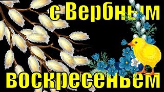 Поздравления с Вербным воскресеньем 2019 песня поздравление на вербное воскресенье