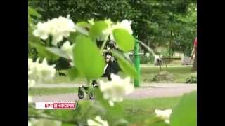 2014-06-13 г. Брест Телекомпания  Буг-ТВ. Как распознать сезонный поллиноз или сенную лихорадку?