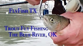 Trout Fly Fishing The Blue River Oklahoma