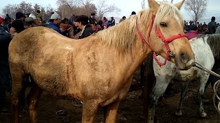 Рынок. Озгон мал базары 300000 сомдук Ат.
