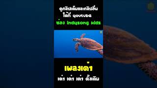 เพลงเต่า เต่า เต่า ดั้งเดิม #เพลงเต่า #shorts