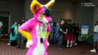 Anthrocon 2011 - Sunday (5/5)