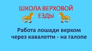 Работа лошади верхом через кавалетти на галопе