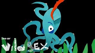 Sticking a Penis Into a Nostril: The Wild Story of Octopus Sex