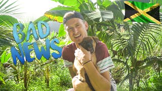 Bad News from Chuckys Yard Jamaica