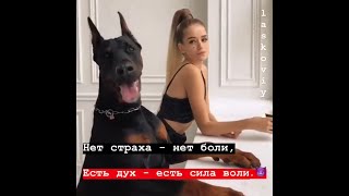 Лучшая подборка цитат | грустные, крутые, смешные цитаты | #5