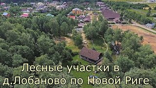 Купить лесной участок по Новорижскому шоссе | Охраняемы коттеджный поселок со всеми коммуникациями