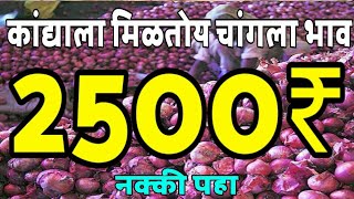Kanda bajar bhav | कांदा बाजार भाव | onian cost | kandyache bhav 2019