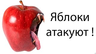 Яблоки атакуют ! ( Swords and Souls )