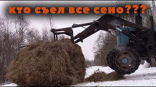 Кошмар козовода - кончилось сено..!