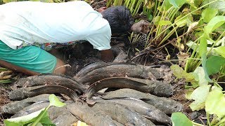 Best Secret Hole Fishing | Find Catfish From Muddy Hole By Poor Boys