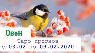 Овен _ гороскоп таро на неделю с 03.02 по 09.02.2020 _ Таро прогноз