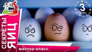 Супер эксперименты с яйцами! Научные фокусы в домашних условиях. StarMediaKids