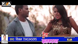 DARU WALI DARU PILA - दारू वाली दारू पिला - Vikaram Deewana - Bhojpuri Hit Song 2020
