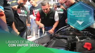 Detallado Profesional de Autos "Asociación Mexicana de Detalladores"