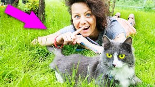 КОШКА В ШОКЕ на ПЕРВОЙ ПРОГУЛКЕ ЧТО ПОШЛО НЕ ТАК? ВЛОГ с Кисой Алисой Magic Family