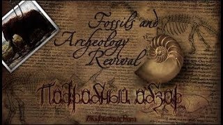 Подробный обзор Fossils and Archeology Revival #1 - Стань археологом