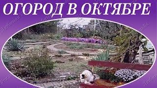 Работы на огороде в октябре   Сад и огород в октябре