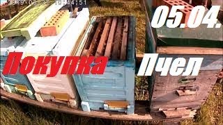 Купить пчёл.Пчела пакеты Джубги.Пасека перезимовала.Зимовка Пчел.Улья ППС.