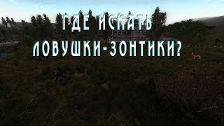Где искать ловушки зонтики?